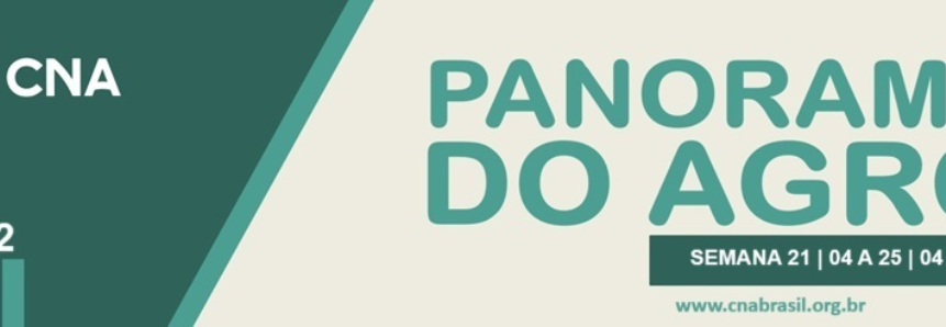 Panorama do Agro - Semana de 21 a 25 de abril