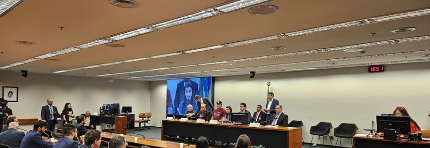 CNA debate criação do Dia Nacional do Alho e renovação de medida antidumping