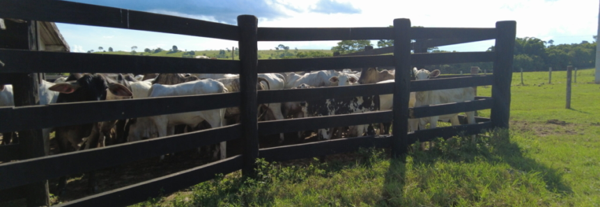 Dias de Campo iniciam na quinta-feira pela região oeste