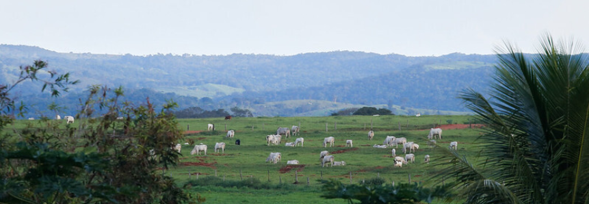 Senar participa de missão do Banco Mundial sobre projeto FIP Paisagens Rurais