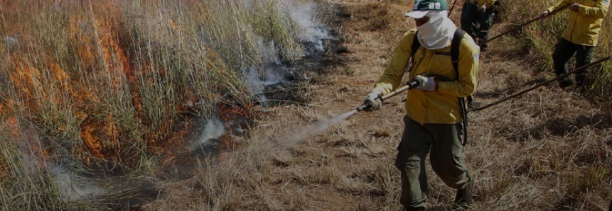 Sistema CNA/Senar fecha parceria com Ibama para ações de prevenção a incêndios