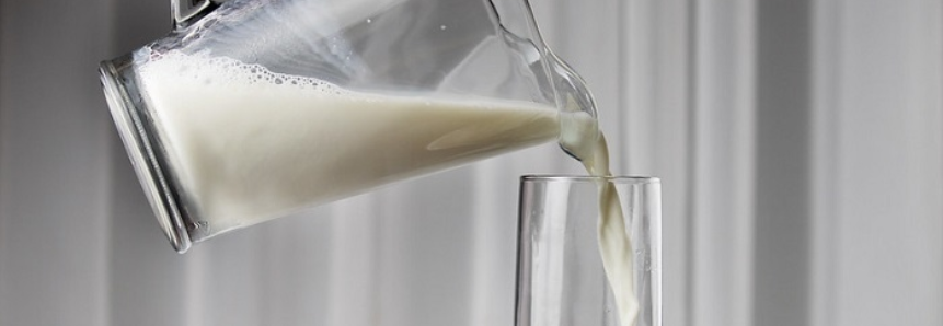 Setor produtivo debate programas de remuneração pela qualidade do leite