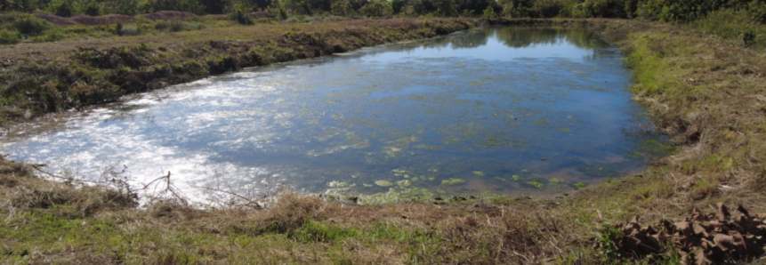 Desafios da piscicultura levantam debates e trocas de experiências no Araguaia