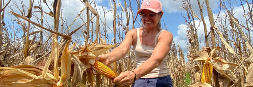 Senar Sergipe abre credenciamento para profissionais de nível técnico e superior em Ciências Agrárias