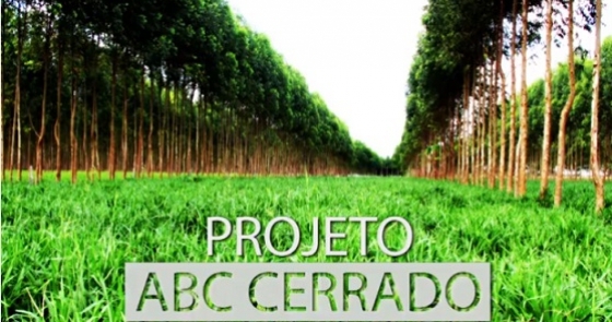 Abc cerradoweb 0 082569002015150612251