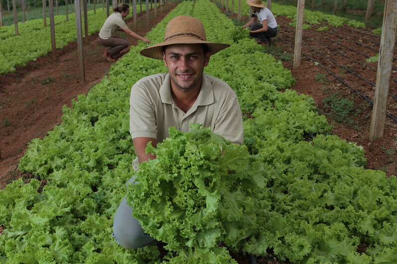 Agricultura familiar