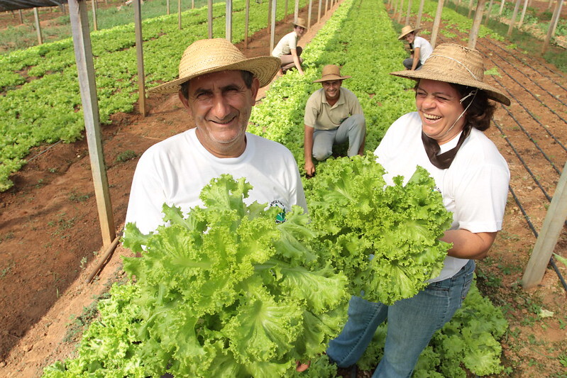 Agricultura familiar