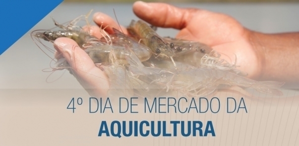 Aquicultura11 0 075422002015362960941