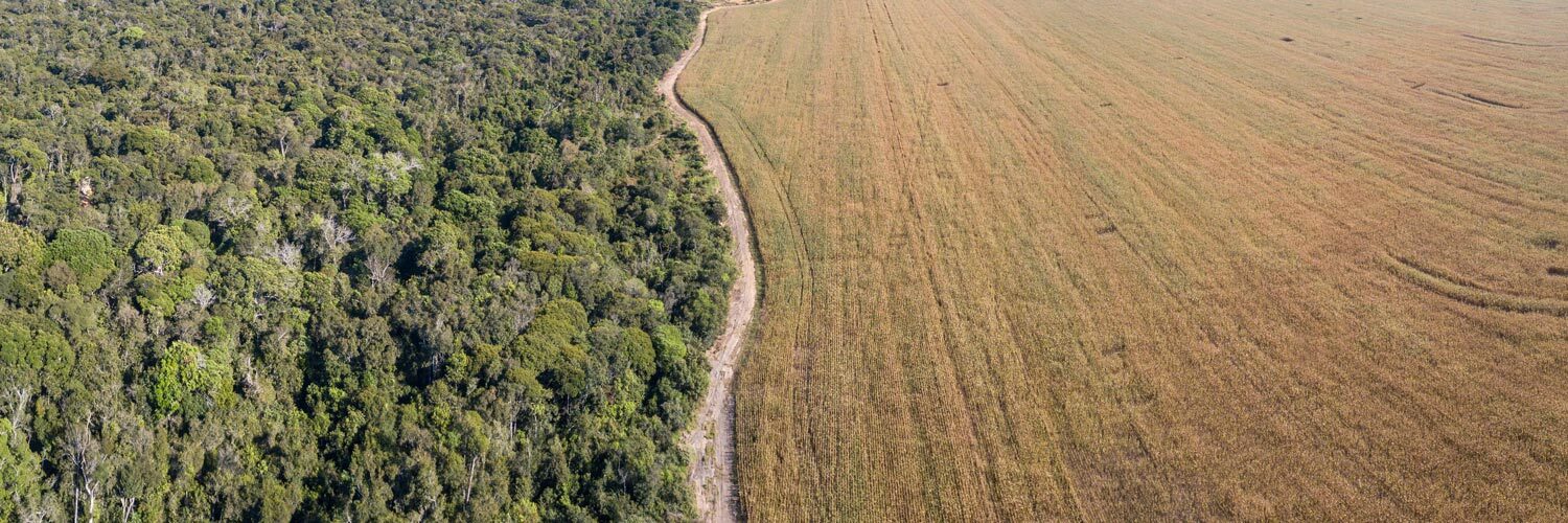 Sistema Faep critica veto presidencial ao PL que trata da faixa de fronteira e georreferenciamento