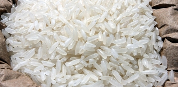 Arroz 01 16 0 442832002015150089701