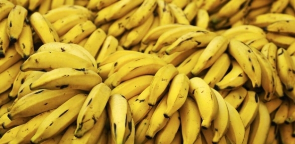 Bananas 925216 630x308 0 06467300 1515009854