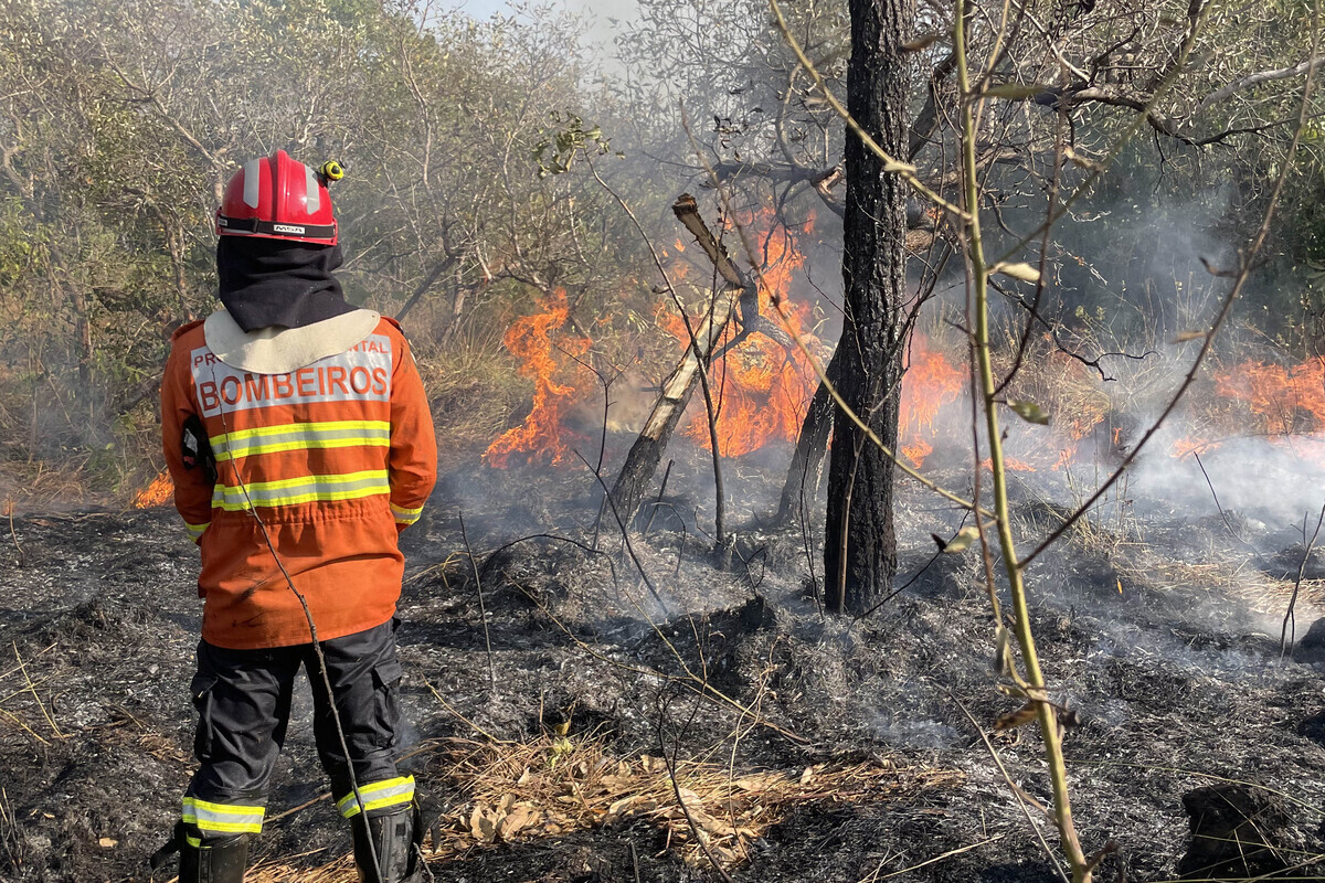 Bombeiros incendios