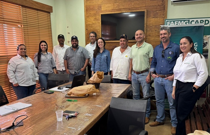 Painel em Campo Florido