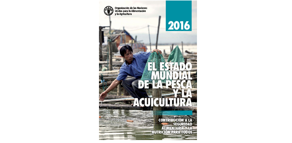 Capa relatorio fao 0 082117002015150594751