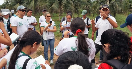 Capanema pa foto cpn agropecuaria dona peta1 2a 0 121914002015150612451