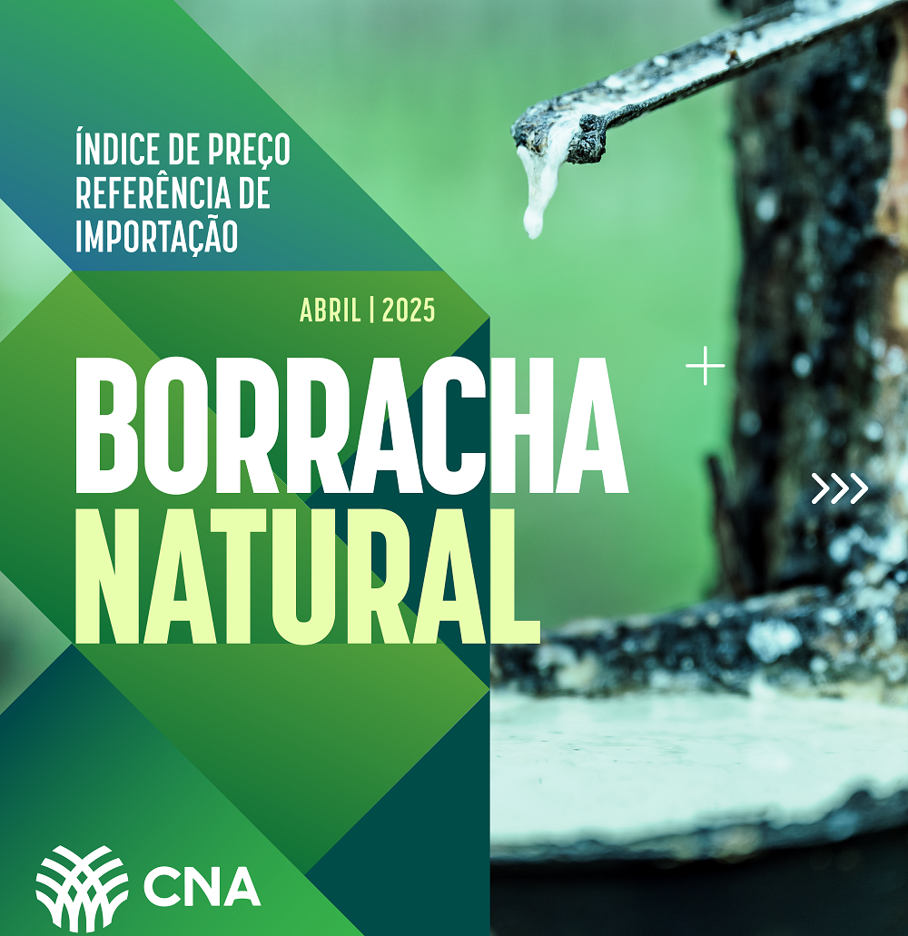Carrossel indice borracha ABRIL 2025 1