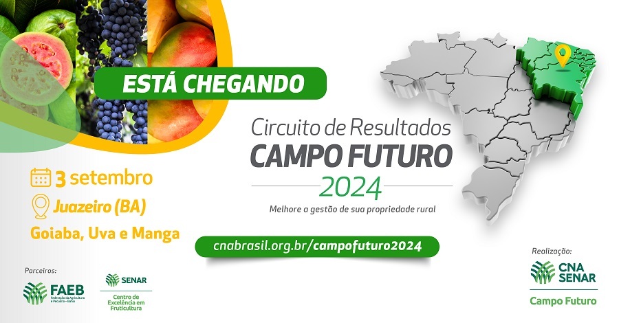 Circuito campo futuro juazeiro BA