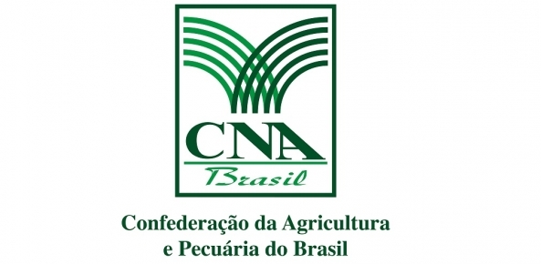 Cna logo noticias 1 0 48398500 1515009797