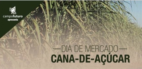 Dia mercado cana 2 0 932559002015150089051