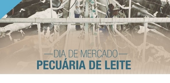 Dia mercado leiteweb 0 601222002015150100341