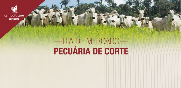 Dia mercado pec 0 628127002015150089451