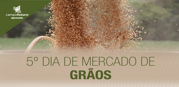 Diademercado graos2 0 86391800 1515008868