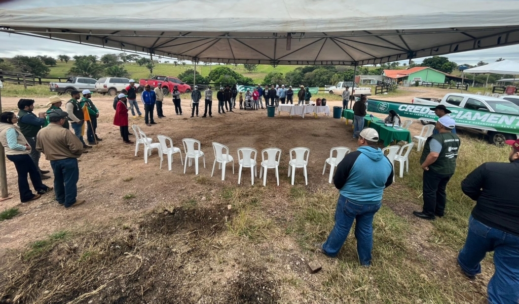 Dias de campo site