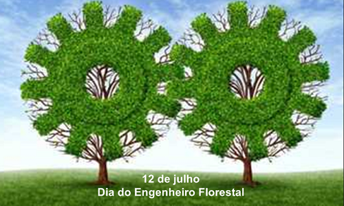 Engenheiro