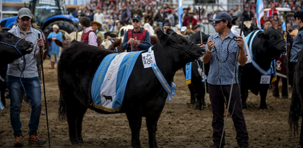 Expopalermo1 0 991555002015362960891