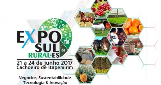 Exposul web 0 290661002015150609221