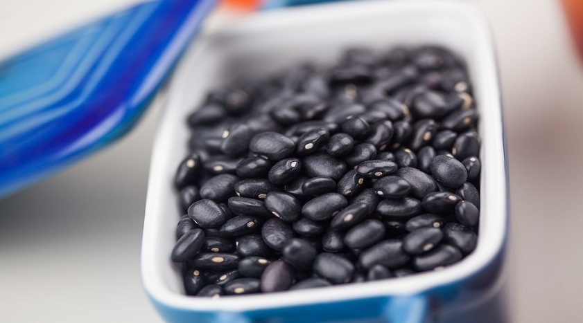 Exportações de feijão batem recorde histórico, mas mercado interno tem variações moderadas