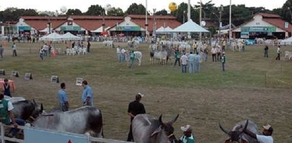 Feira agro faemg 0 95680100 1515009037