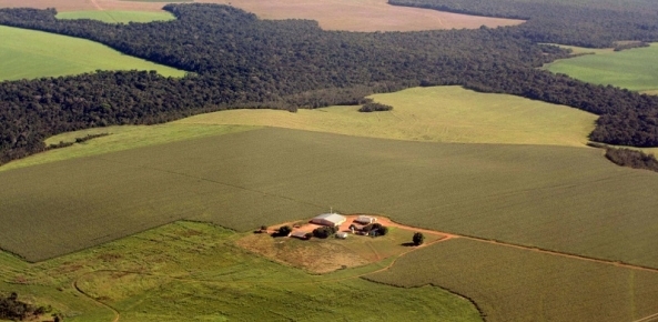 Foto aerea fazenda 0 33486600 1515008857