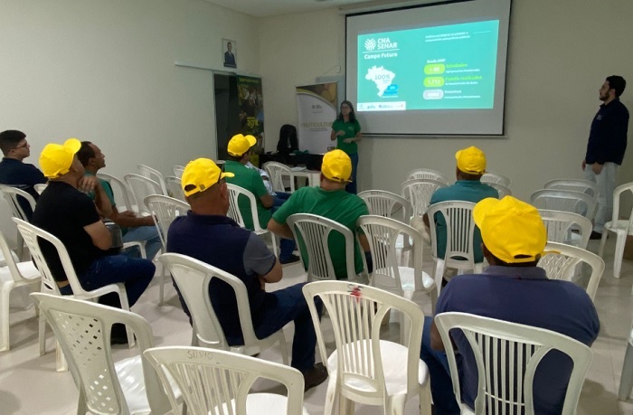 Painel de goiaba em Casa Nova