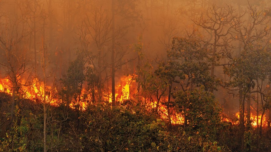 Incendio Abre