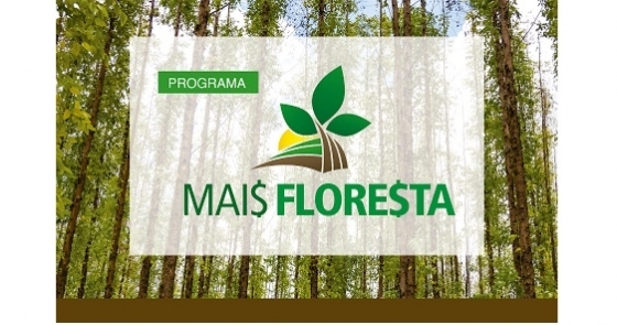 Mais florestaweb 0 40551300 1515060936