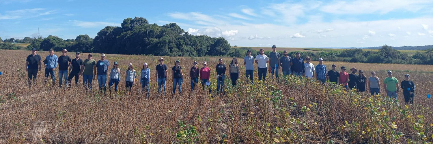 Terraço na produção de grãos diminui perda de água no solo, aponta pesquisa da Unicentro