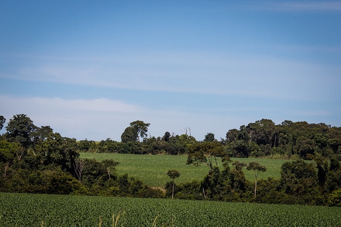 Mapeamento propriedade rural