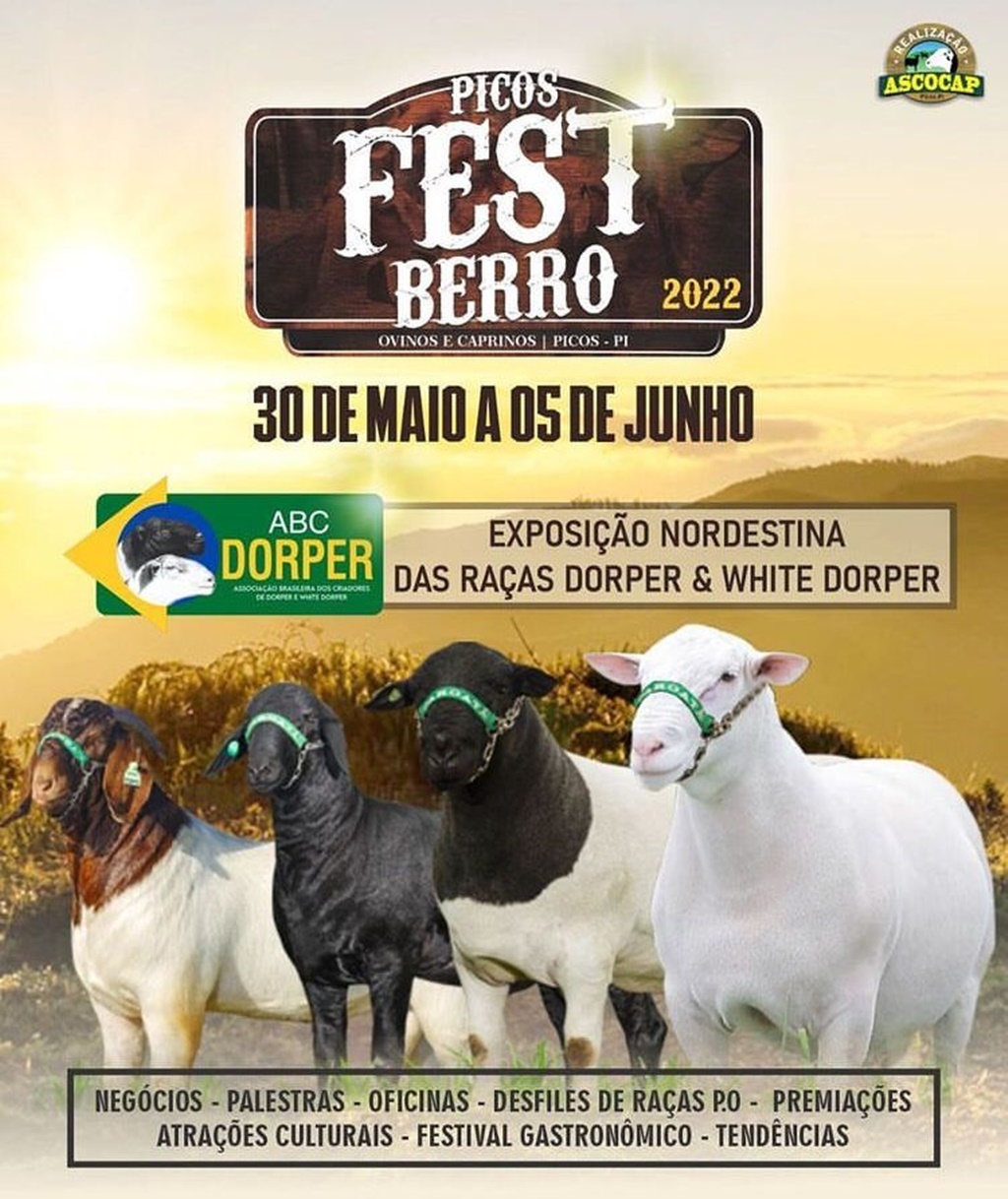 Picos fest berro