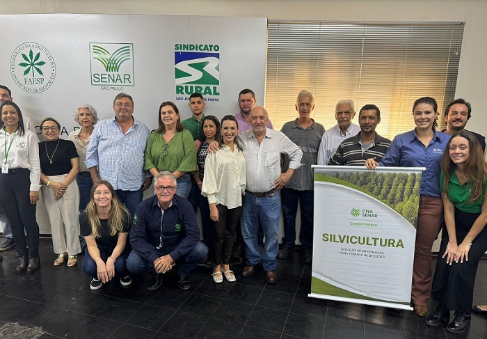 Painel de borracha natural em São José do Rio Preto