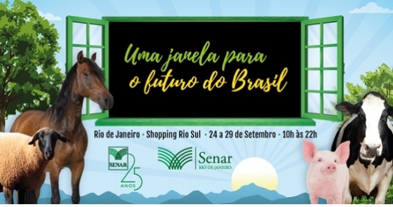 Senar 25anos rio 0 58300700 1515060862