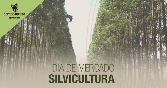 Silvicultura 0 72840400 1515060933