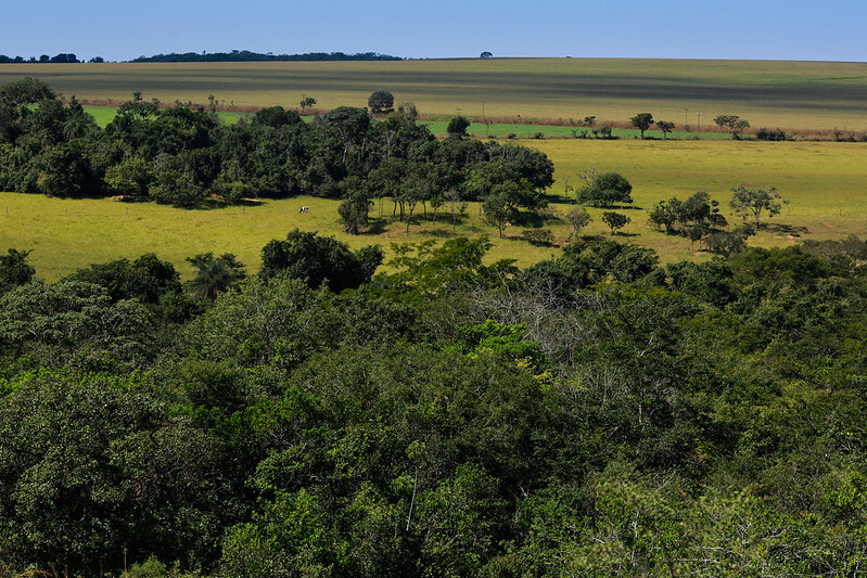 Sustentabilidade agro pravaler