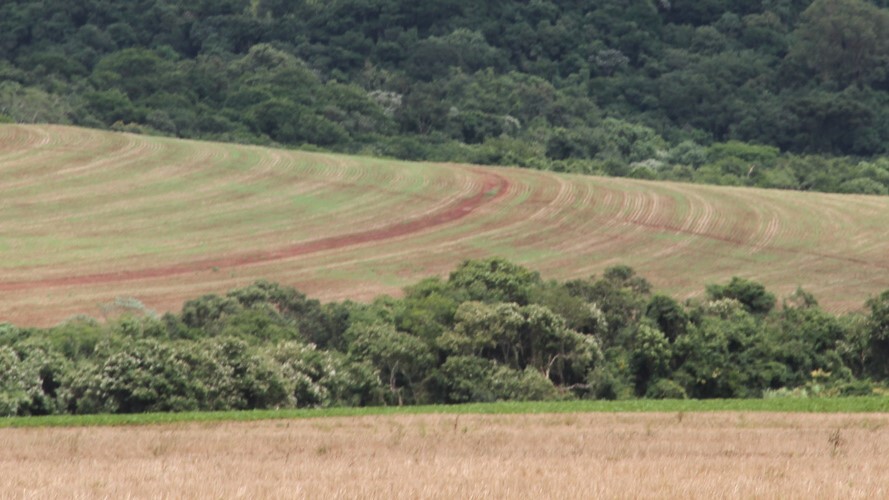 Territorio