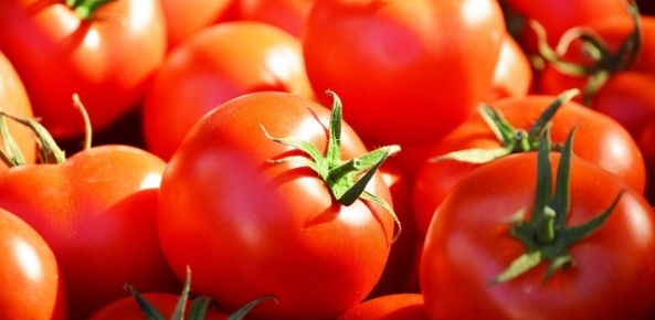 Tomate 3 0 10487600 1515009779