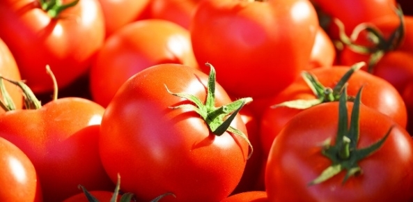 Tomate 5 0 46773200 1515009752