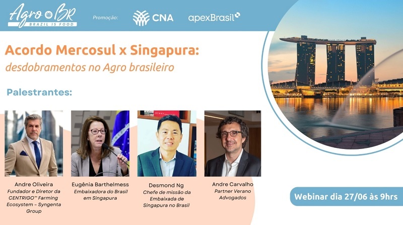 Webinar singapura3