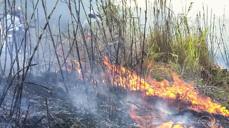 Incendio parana