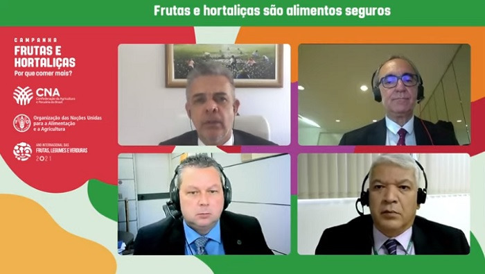 Live frutas e hortalicas