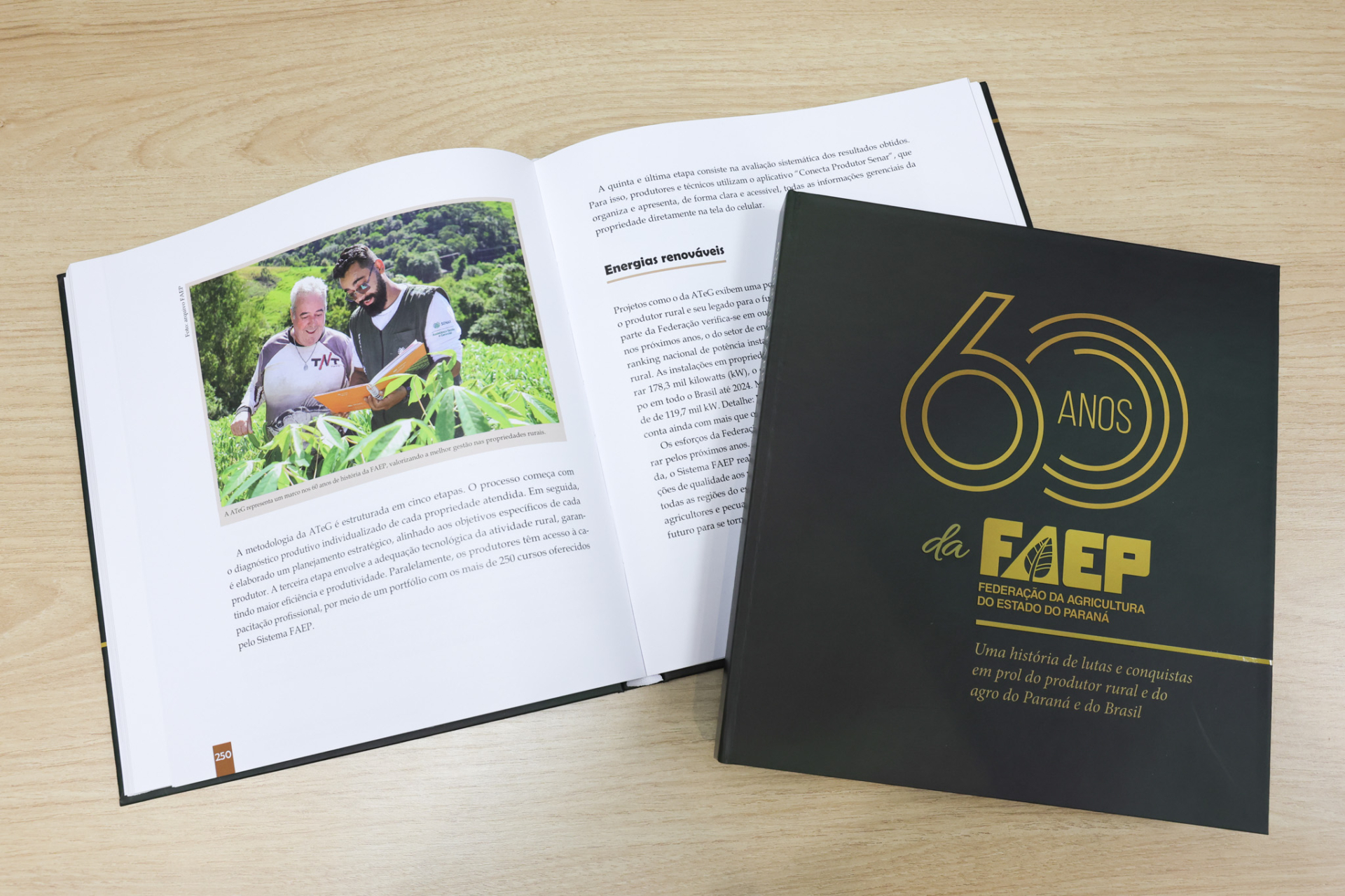 Livro histórico está disponível no site da entidade